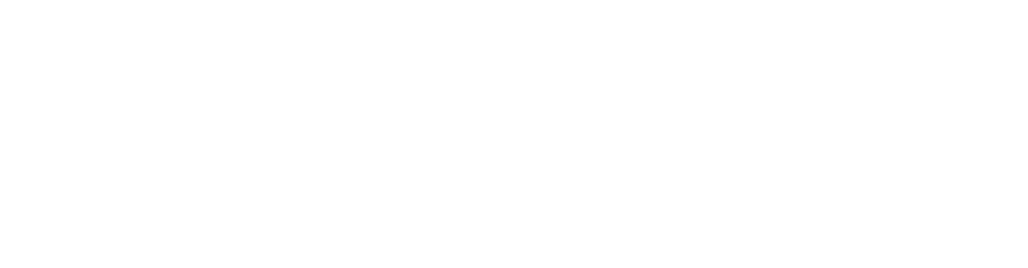 TooMuch.si Logo partnerja
