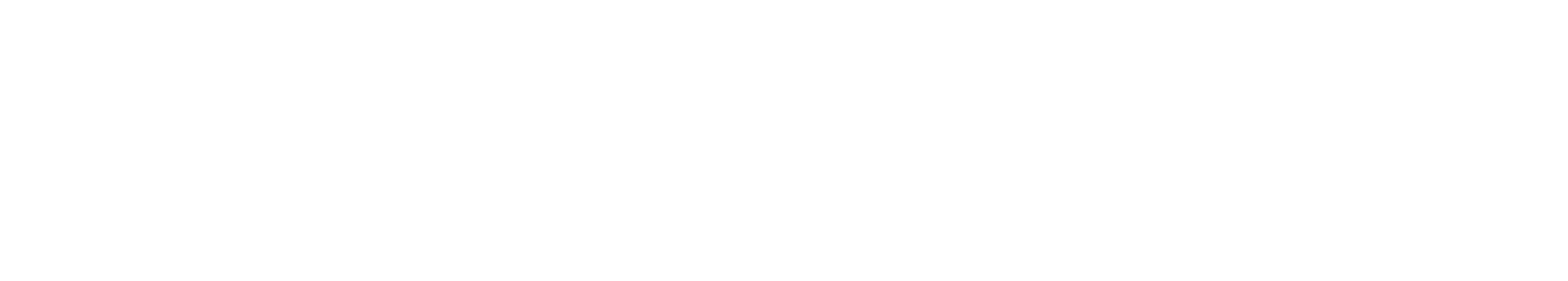 Špica Šport Logo partnerja