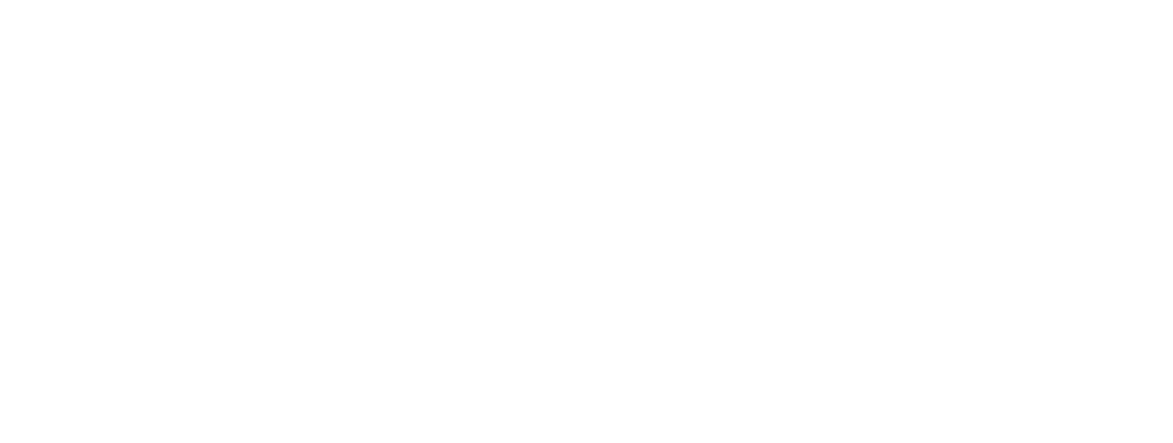 ANNI Logo partnerja