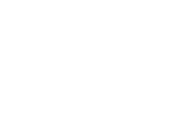 Bonsai Logo partnerja