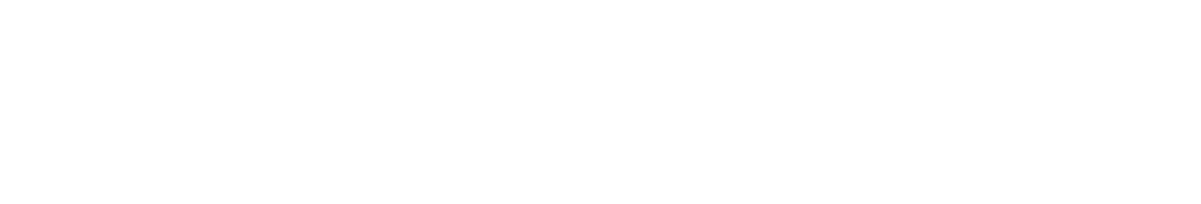 Lorex center Logo partnerja