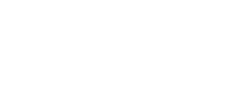 Dipo Logo partnerja