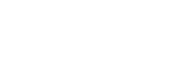 BRALKO Logo partnerja