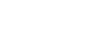 Piaggio Logo partnerja