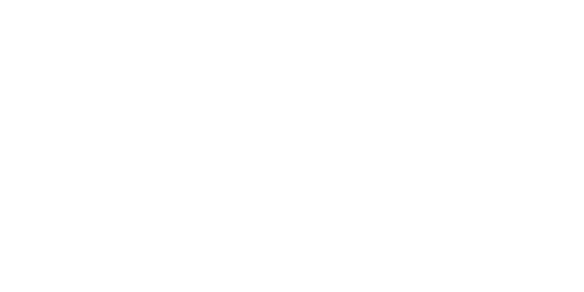 Vladimir Mužerlin s.p. Logo partnerja