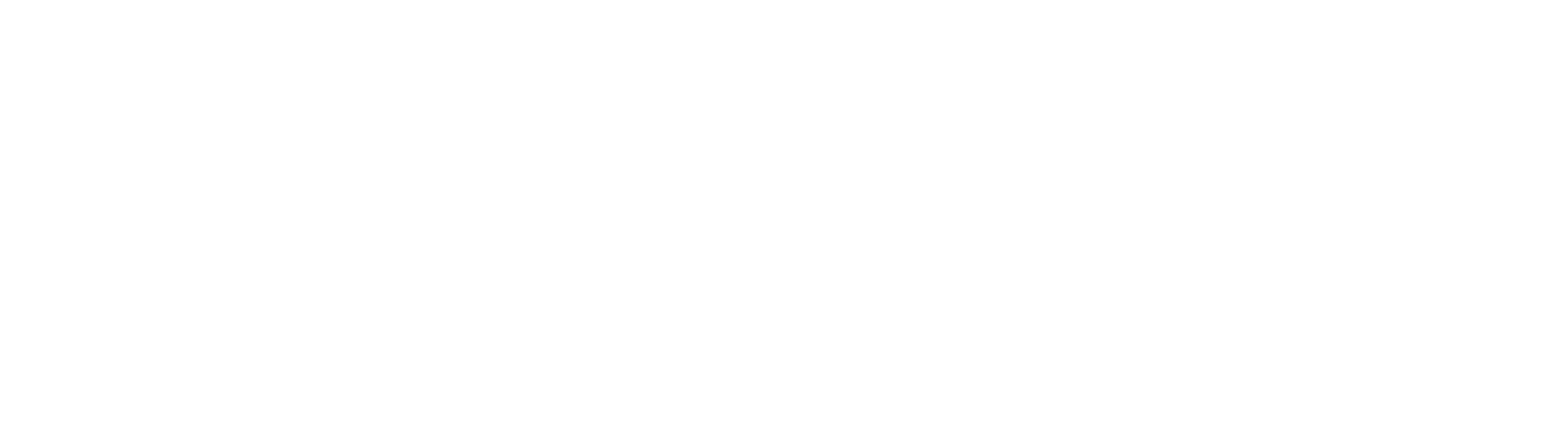 Avto Tim Logo partnerja