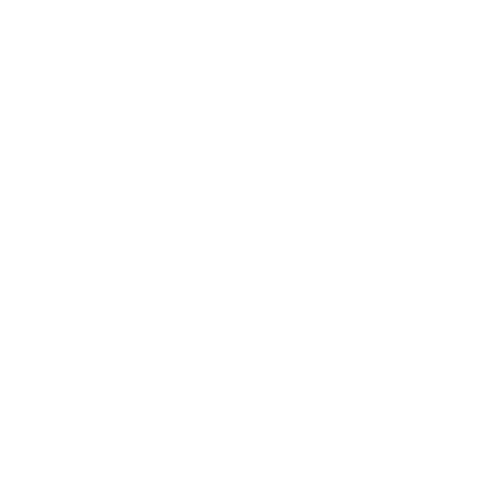 ACZ Logo partnerja