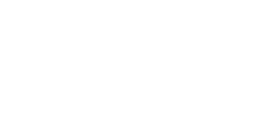 Avti Lan Logo partnerja