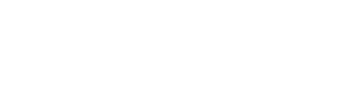 Aliansa Domžale Logo partnerja
