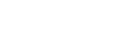 VipDrive Logo partnerja