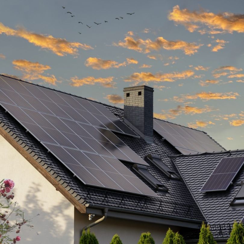 Alviss Solar Slika trgovine