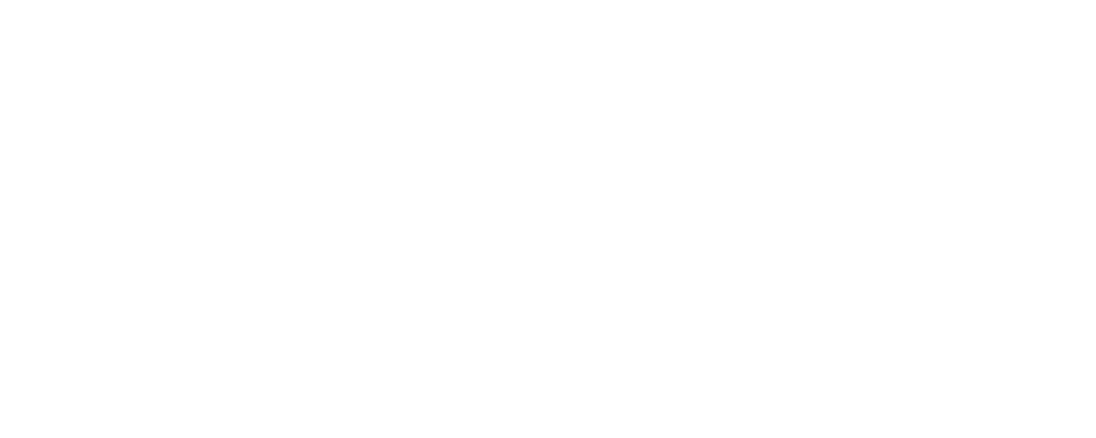 ANITINSTUDIO Logo partnerja
