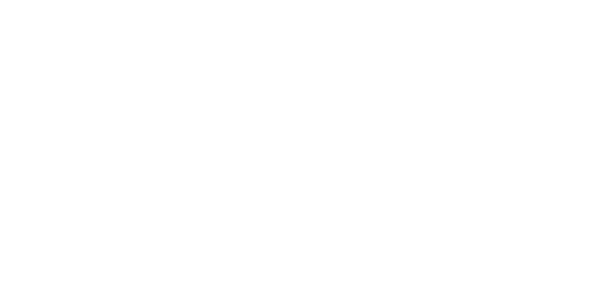 TERMOTEHNA ARMATURE Logo partnerja