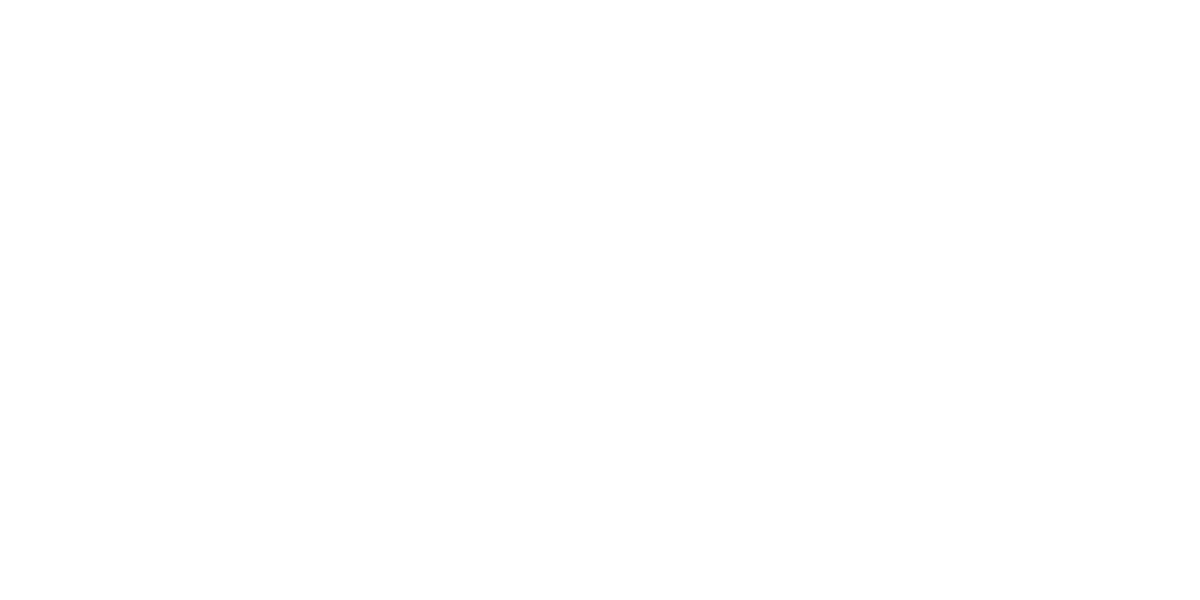 AUDIO BM Logo partnerja