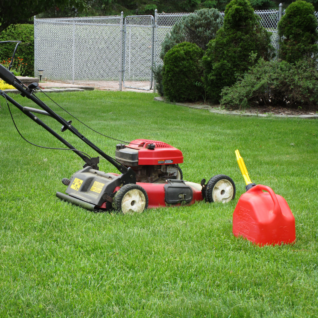 Avtohiša Žibert Slika trgovine