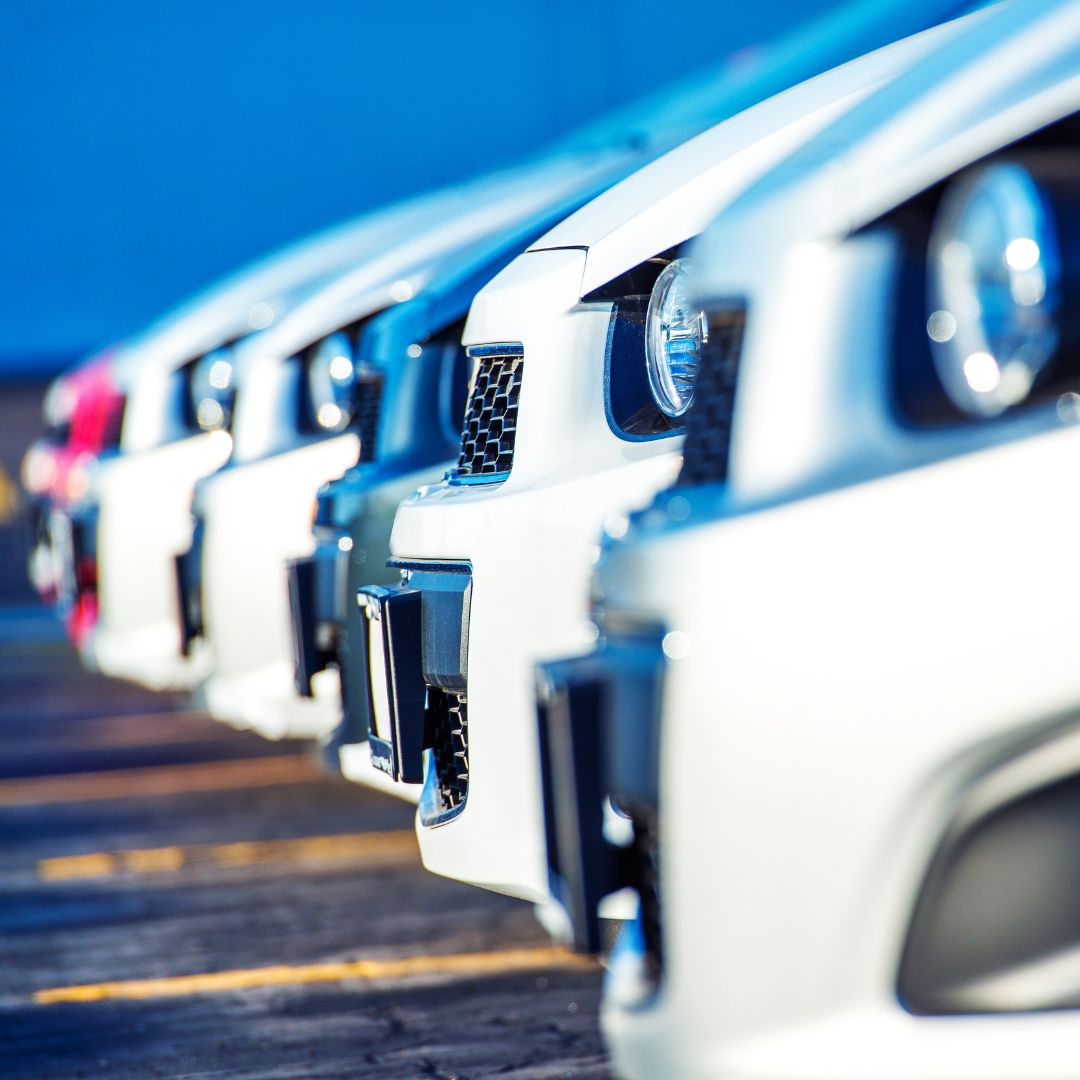 AVTOMOBILI P.R. Slika trgovine