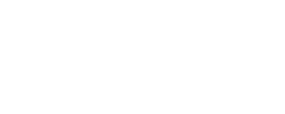 AVTO BINE, Albin Ličina Logo partnerja
