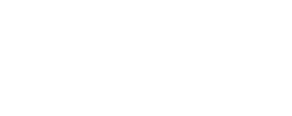 AVTO DEBEVC Logo partnerja
