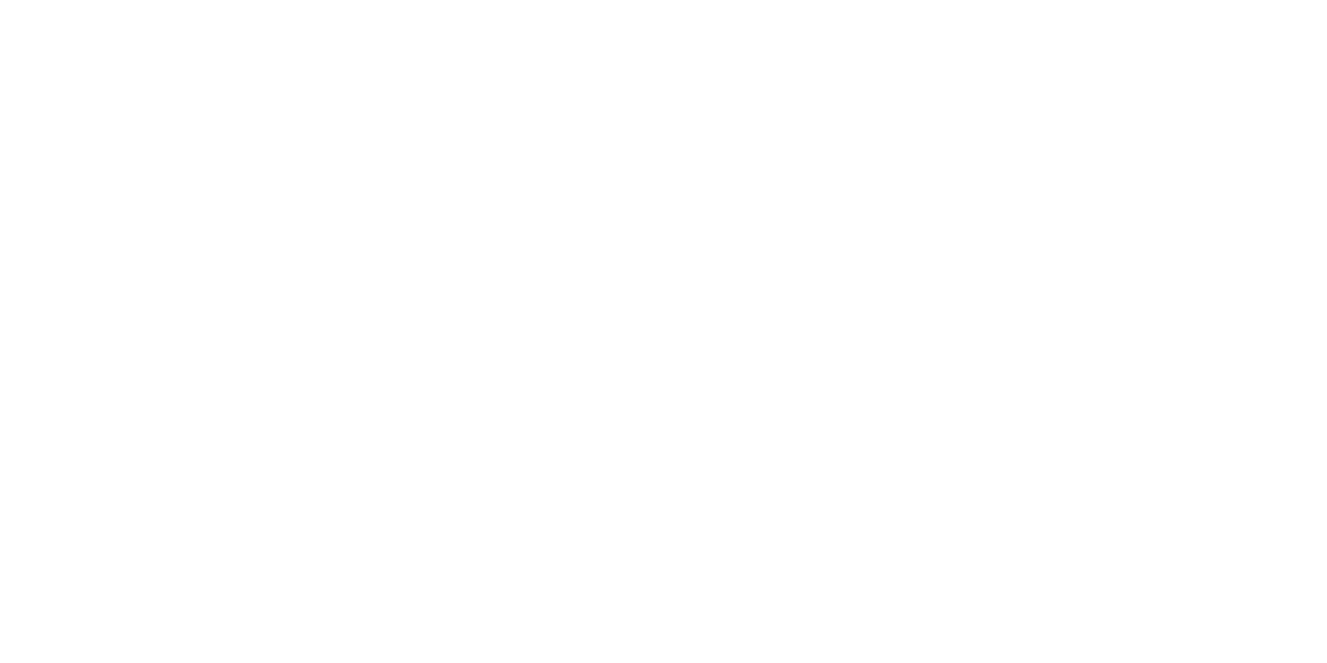 AVTO HANKS Logo partnerja