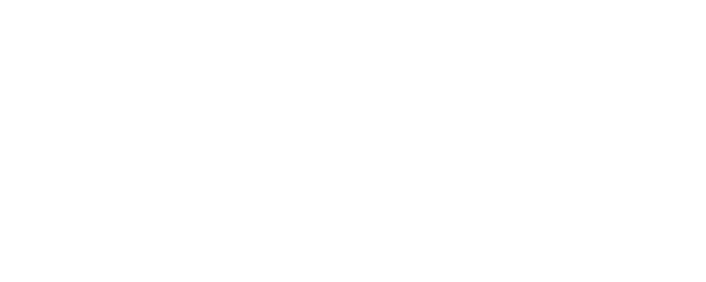 Avtohiša Randelj Logo partnerja