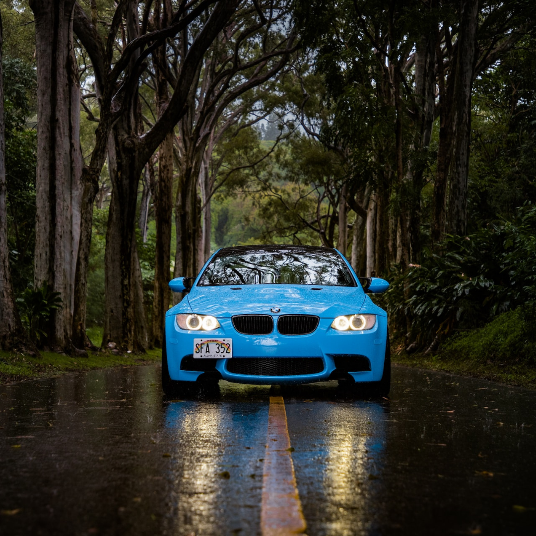 Avti Lan Slika trgovine