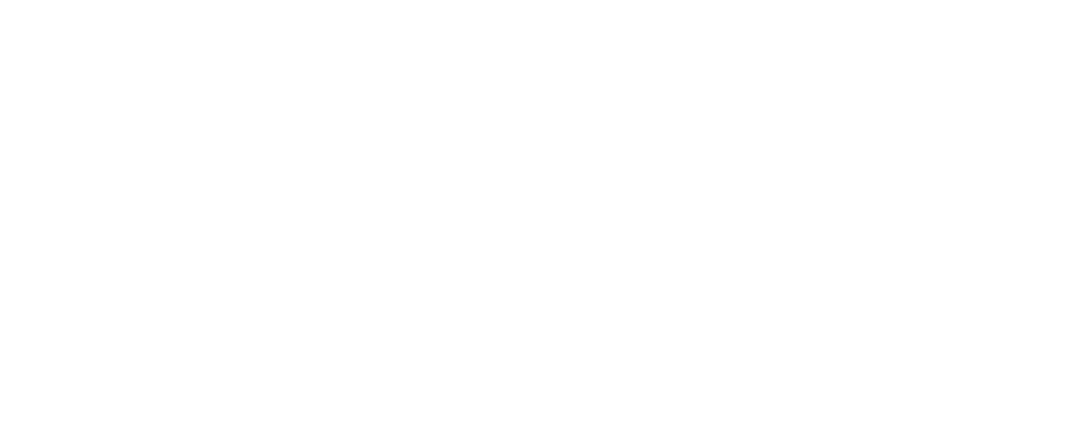 AVTO SAJOVIC, ANŽE SAJOVIC S.P. Logo partnerja