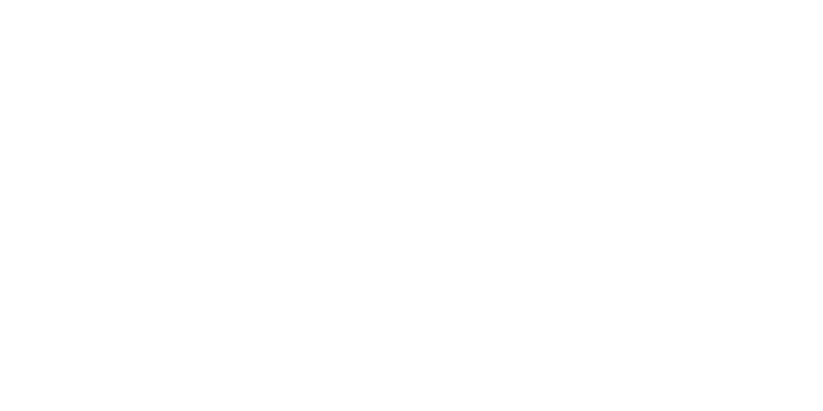 Avto Zvezda Logo partnerja