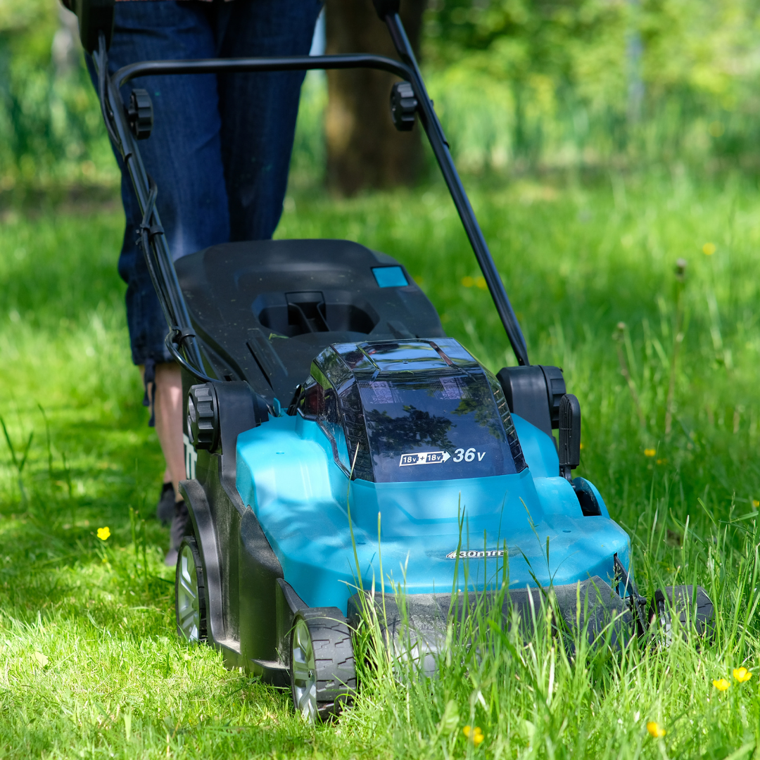 Lepdom.si Slika trgovine