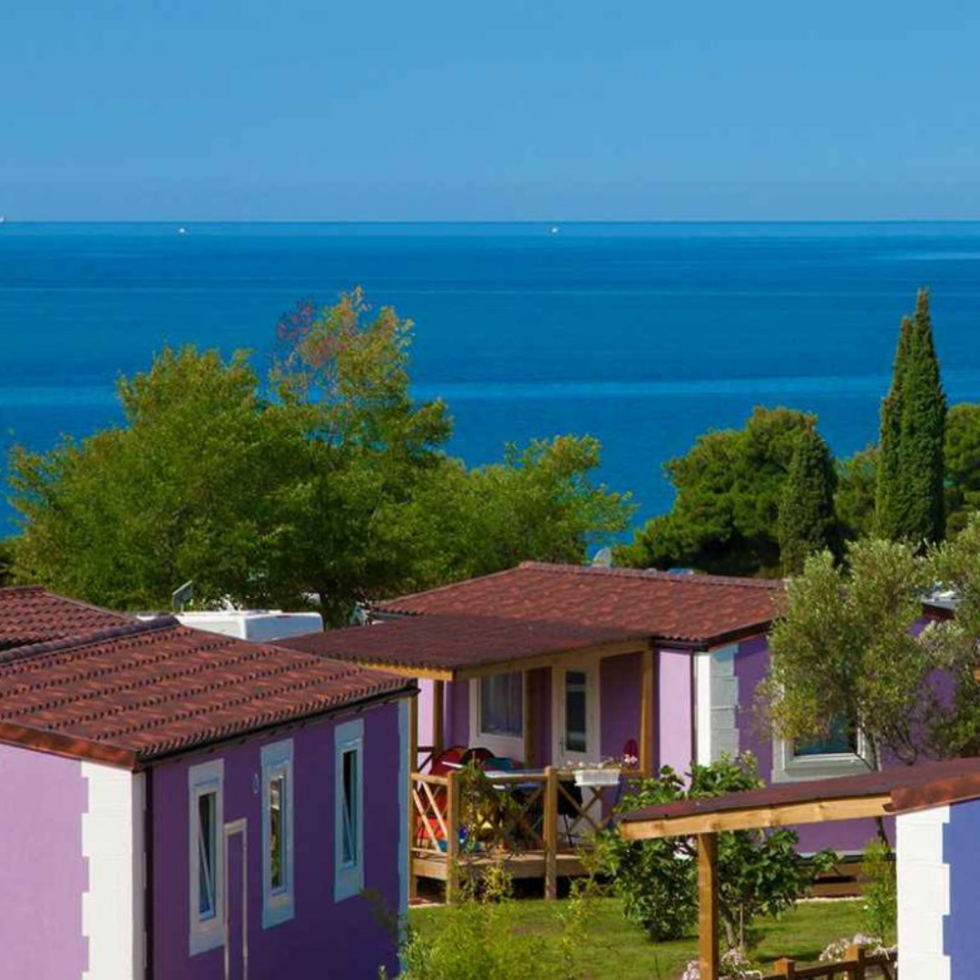 Apartmaji.com d.o.o. Slika trgovine