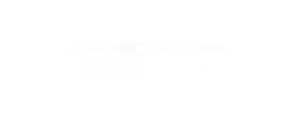 Avtoservis Selan, Tadej Selan s.p. Logo partnerja