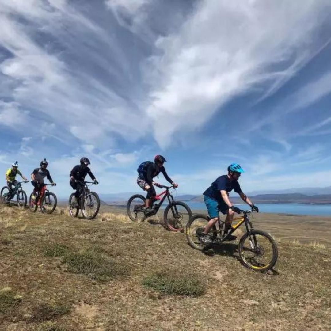 Beli Zajec Slika trgovine