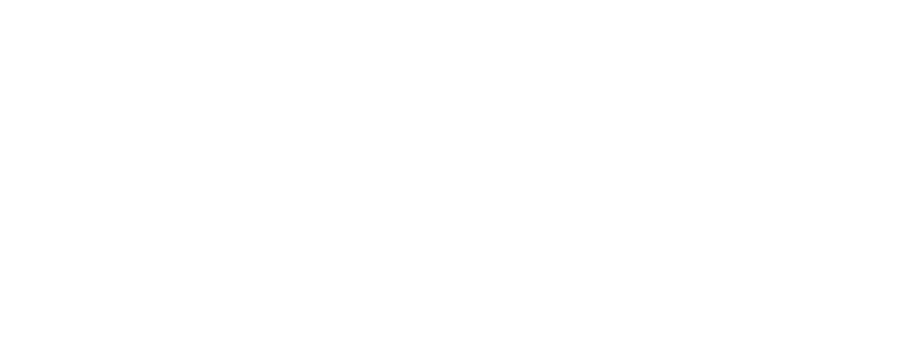 BGE Logo partnerja
