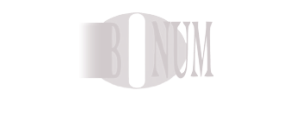 Bonum 1 Logo partnerja