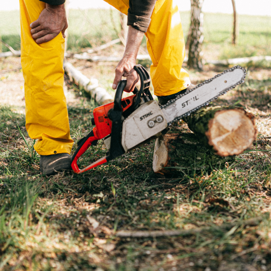 Brinca Slika trgovine