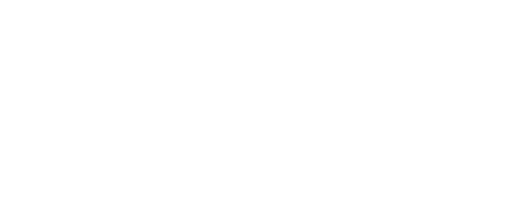 BS AVTO Logo partnerja