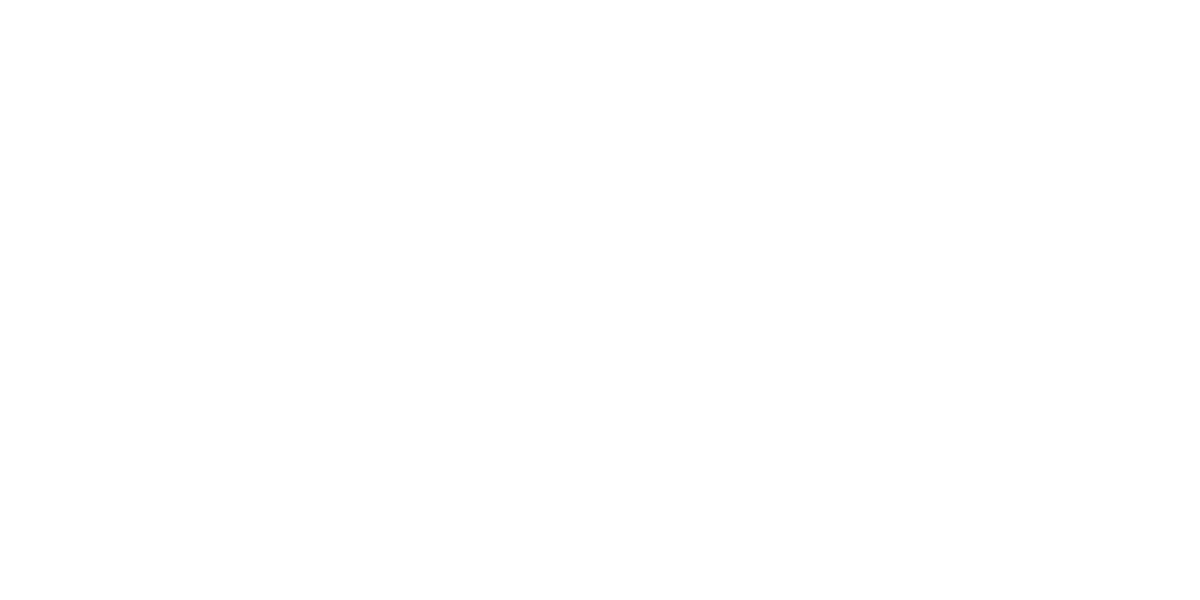 Big Boom Logo partnerja