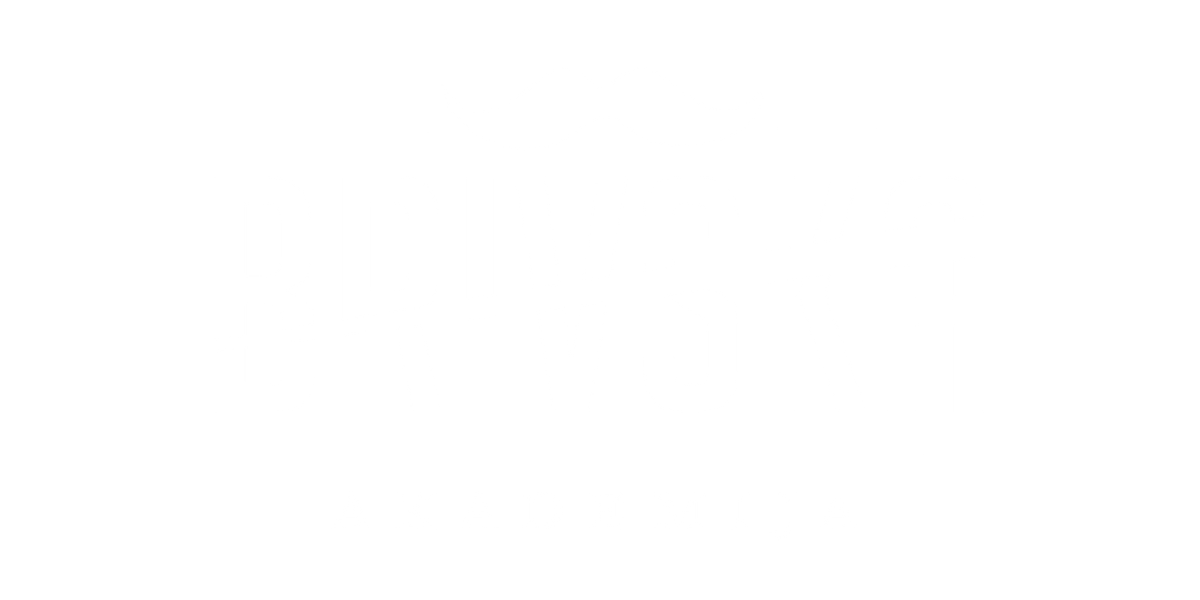 Brivska akademija Logo partnerja