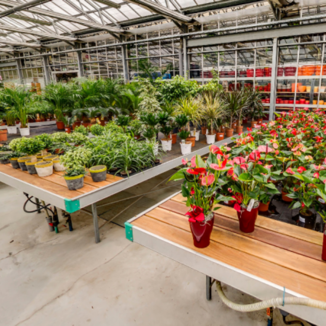 Vrtni Center Gašperlin Slika trgovine