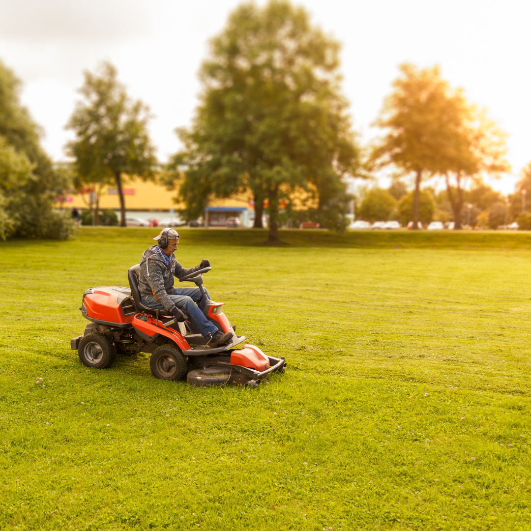 Agronet.si Slika trgovine