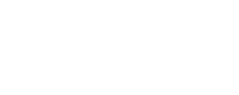 DAS Automotive d.o.o. - popravilo po toči Logo partnerja