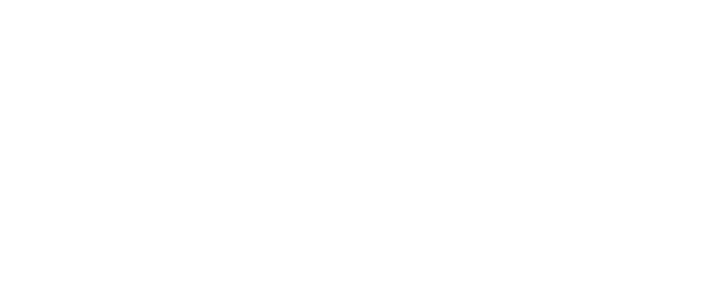 DELUXE GOSTINSTVO d.o.o. Logo partnerja