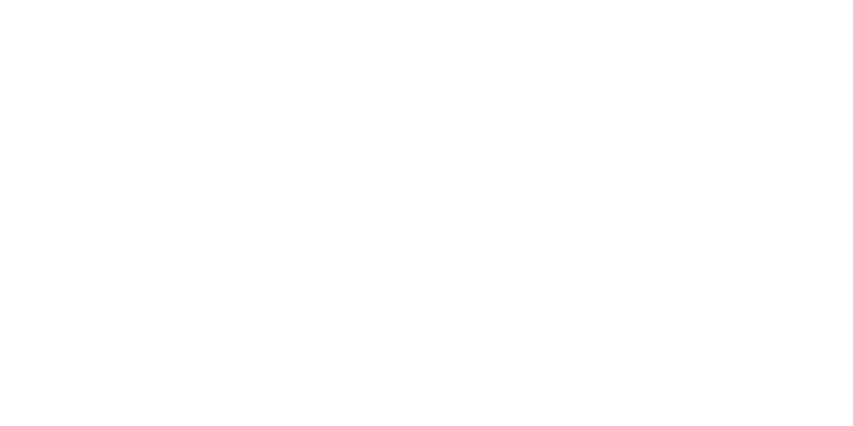 DFVU Logo partnerja