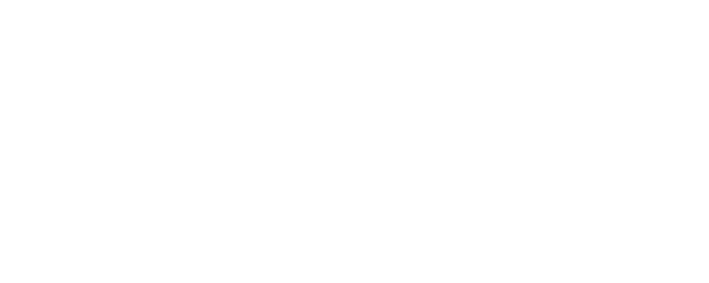 DIRS Logo partnerja