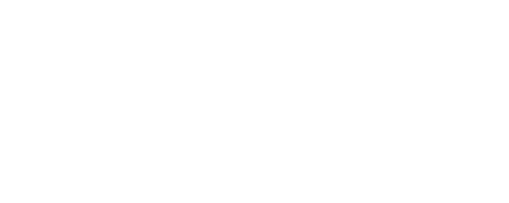 DOMVISION Logo partnerja