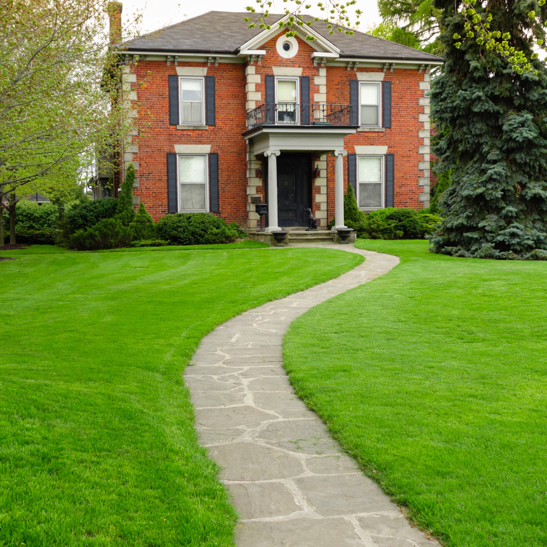 Dom Trade Žabnica Slika trgovine