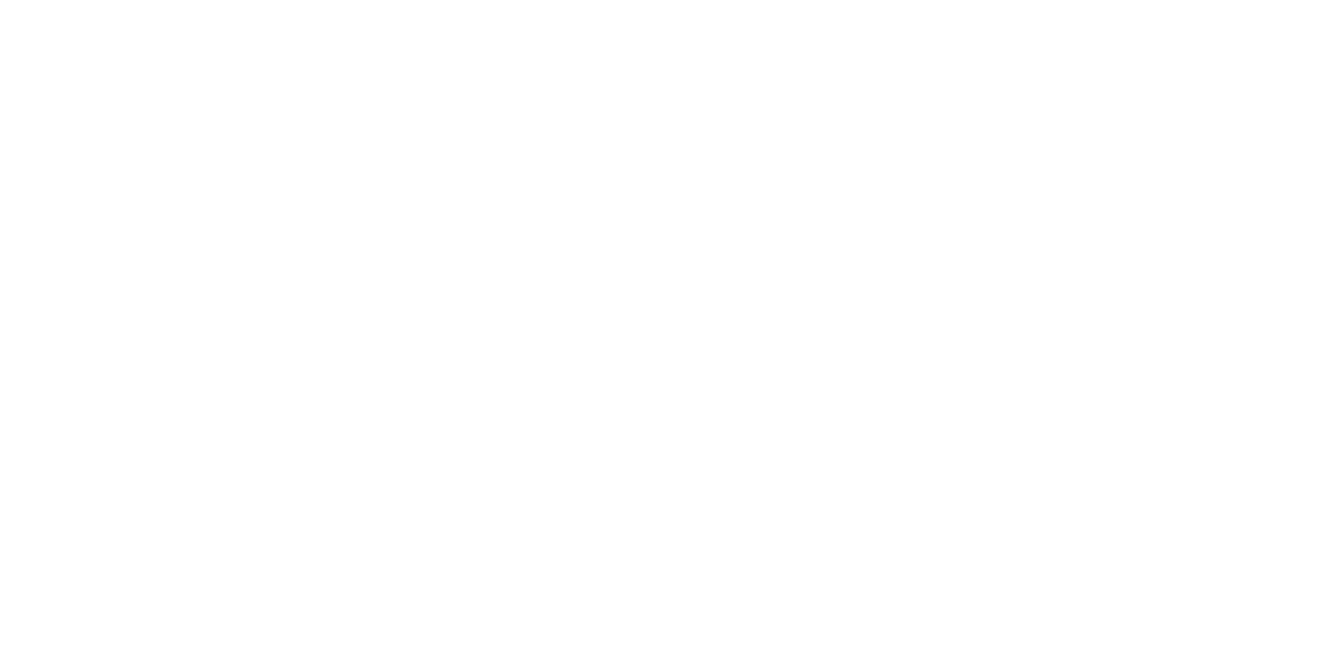 DS INVEST Logo partnerja