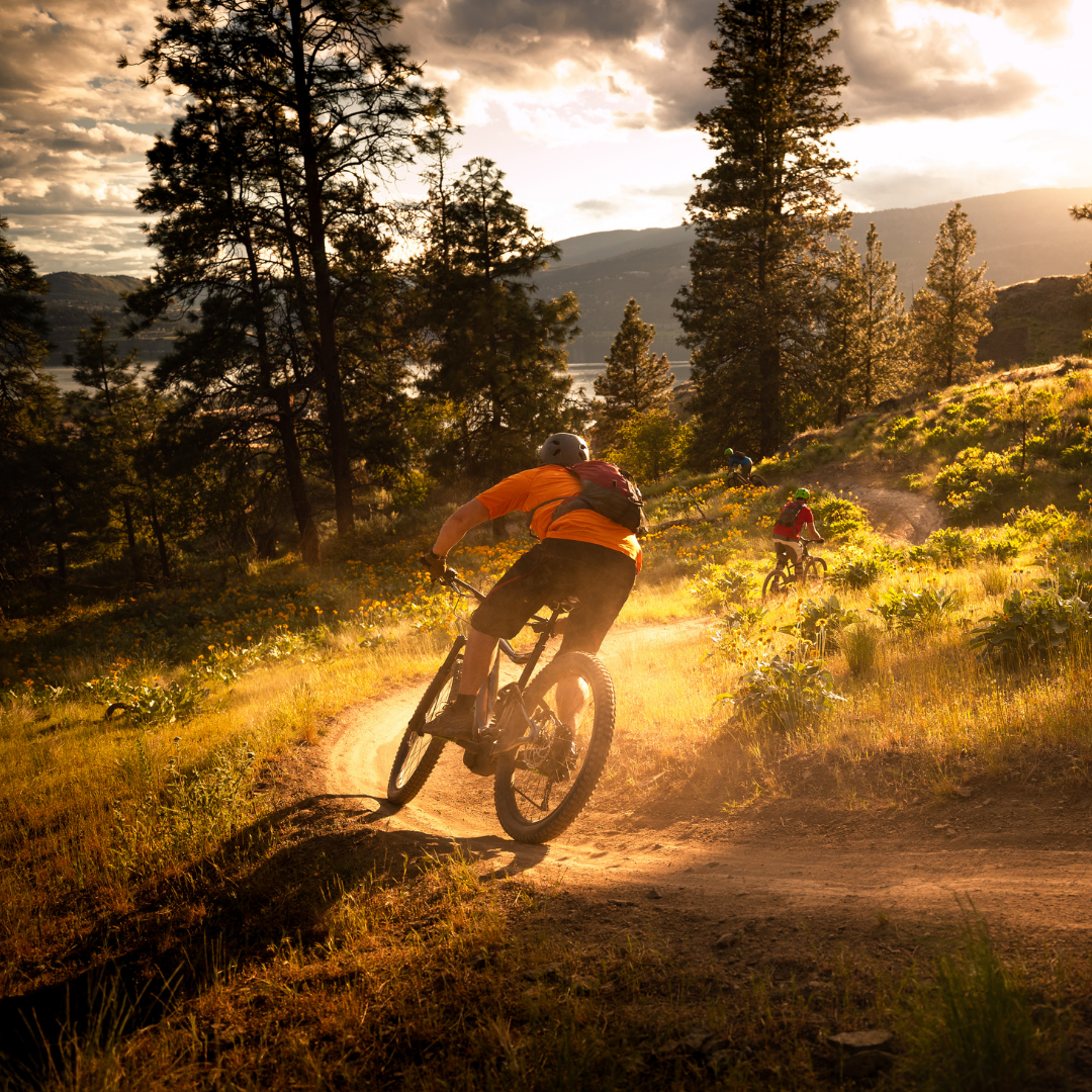 Den sports Slika trgovine