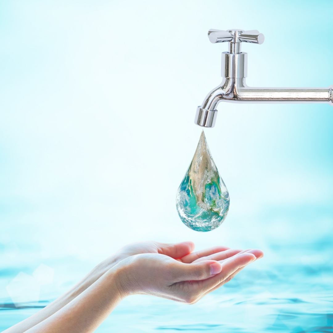 Eco Element Slika trgovine