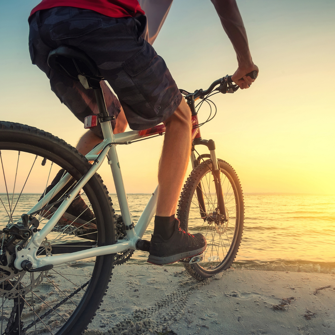 Elpec eBikes Slika trgovine