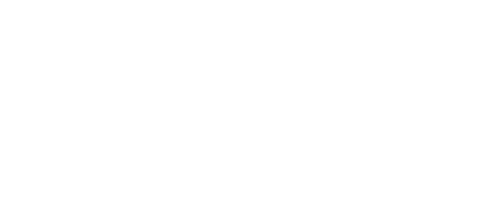 Esis-Co Logo partnerja